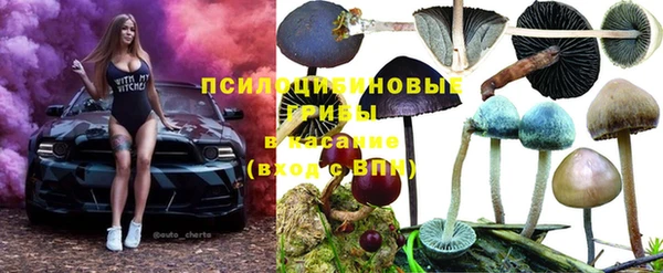 винт Алзамай